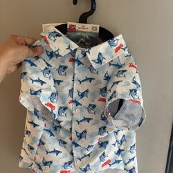 Dog Items 