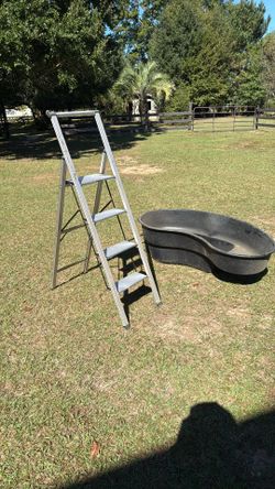 Ladder And Koi Pond Or Water Trough