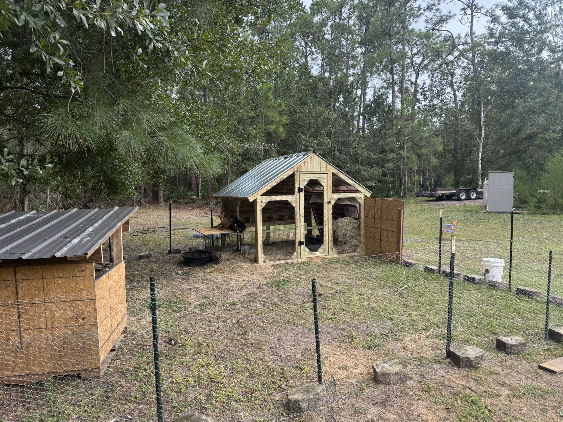 Chicken coop