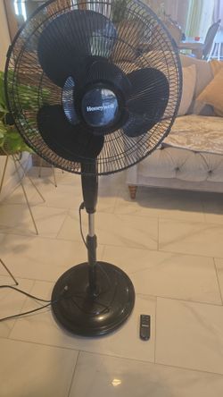 Fan