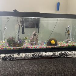 20 Gallon Fish Tank With Accessories