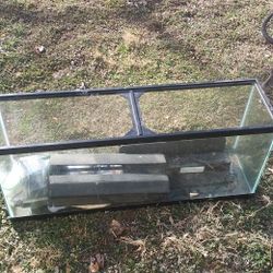 55 Gallon Fish Tank
