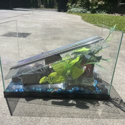 10 Gallon Fish Tank 