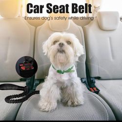 Tactical Bungee Dog Leash Military Adjustable Dog Leash Quick Release Grey 