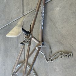 STAATS Mini Cruisers 