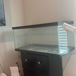 Fish/Reptile Tank $80