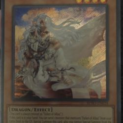 Fallen Of The White Dragon