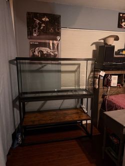 60 gallon tank with stand