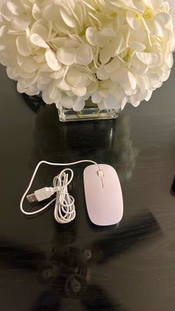Wired white mouse