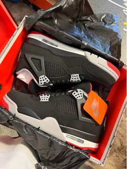 (2019) bred 4