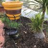 Be Happy Pottery