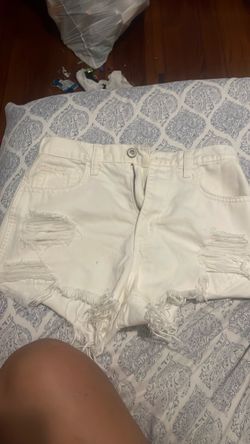 Hollister