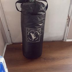 Punching Bag 35lbs 