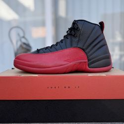 Nike Air Jordan 12 Retro 2025 Size 11 NEW!!!