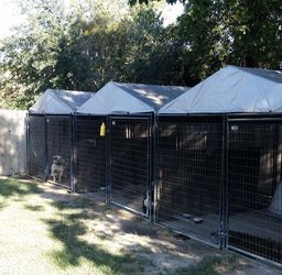 Dog kennel for sale 10x10 cheap