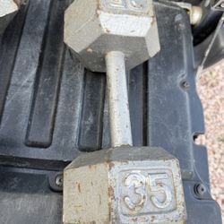 $30 - 35lbs Dumbbell Only 1