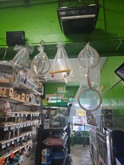 Pet supplies