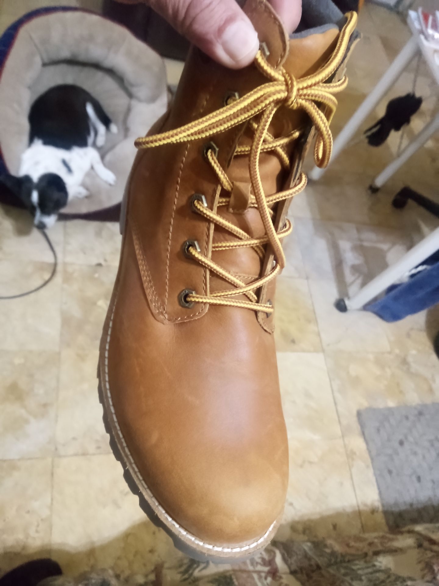 Botines