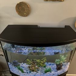 36 Gallon PetSmart Fish Tank