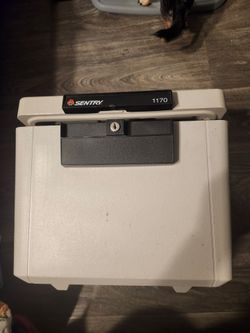 Sentry fireproof safe needs key