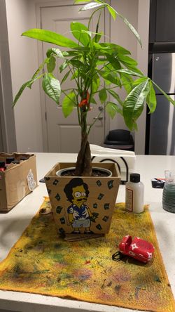 Escóbart plant vase.