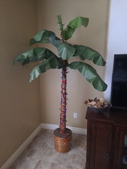 Home Decor