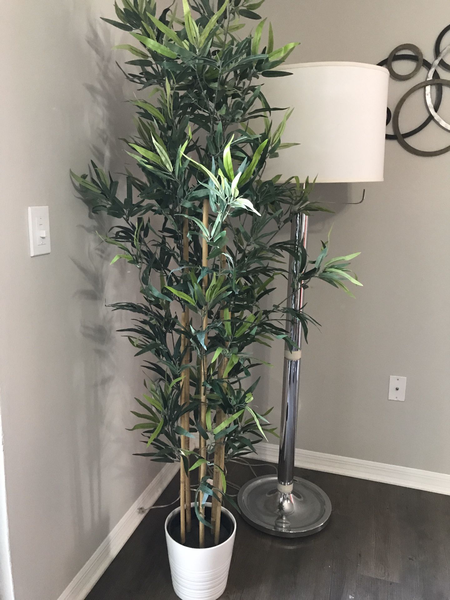 Bamboo plant with base