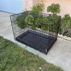 large pet crate 