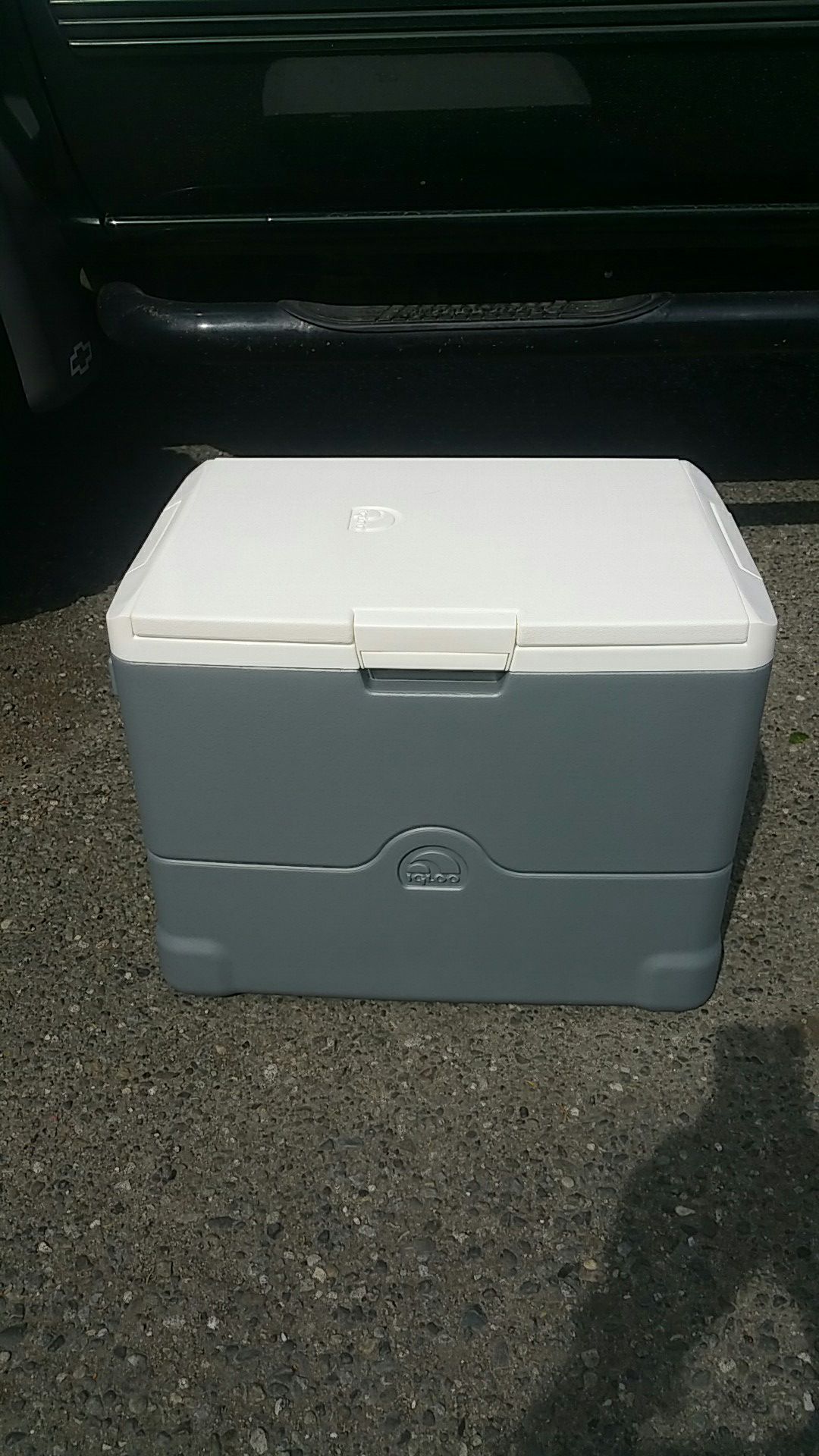 Igloo Iceless 40 Quart Thermoelectric Cooler Chess Rec Portable Vehicle Refrigerator Travel Fridge