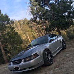 2001 Mustang V6