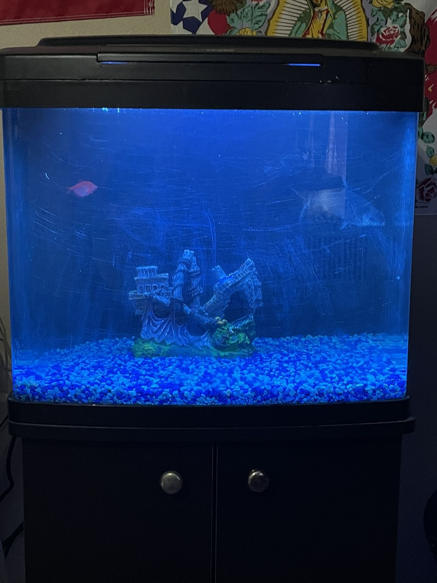 Fish Tank Aquarium Fresh Or Saltwater