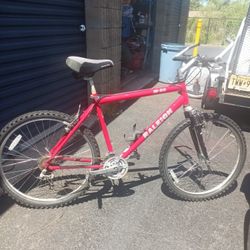 Man's Raleigh M-50 21 Speed Bike 