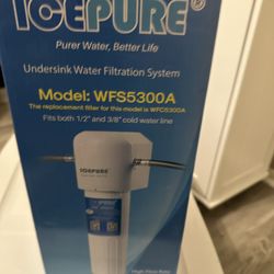 Ice pure water filtration system