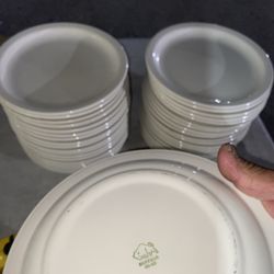 Buffalo Commercial Restaurant Plates 39 Plates Total All Same 9” Salad Plates $2 Each  $70 for the lot of 39  Excellent used condition. Came from a re