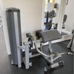 Paramount Commercial Bicep Curl /Tricep Extension Combo! 