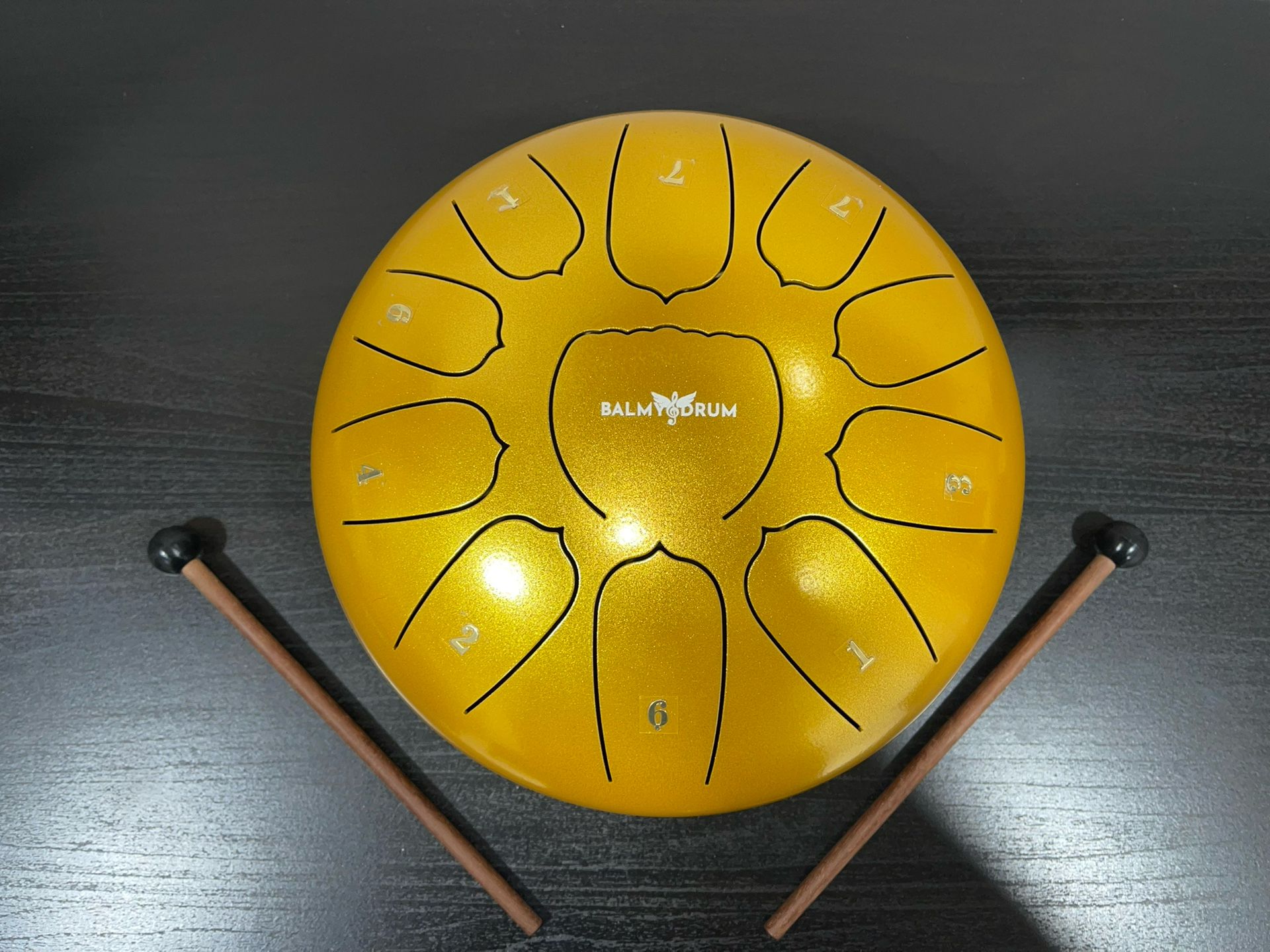 Steel Tongue Drum (11 Notes)