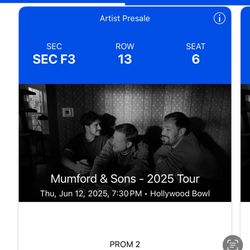 Mumford & Sons Ticket