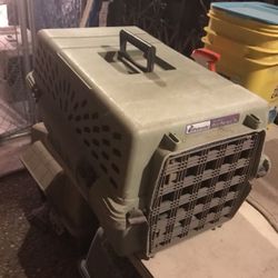 Medium size Pet Taxi