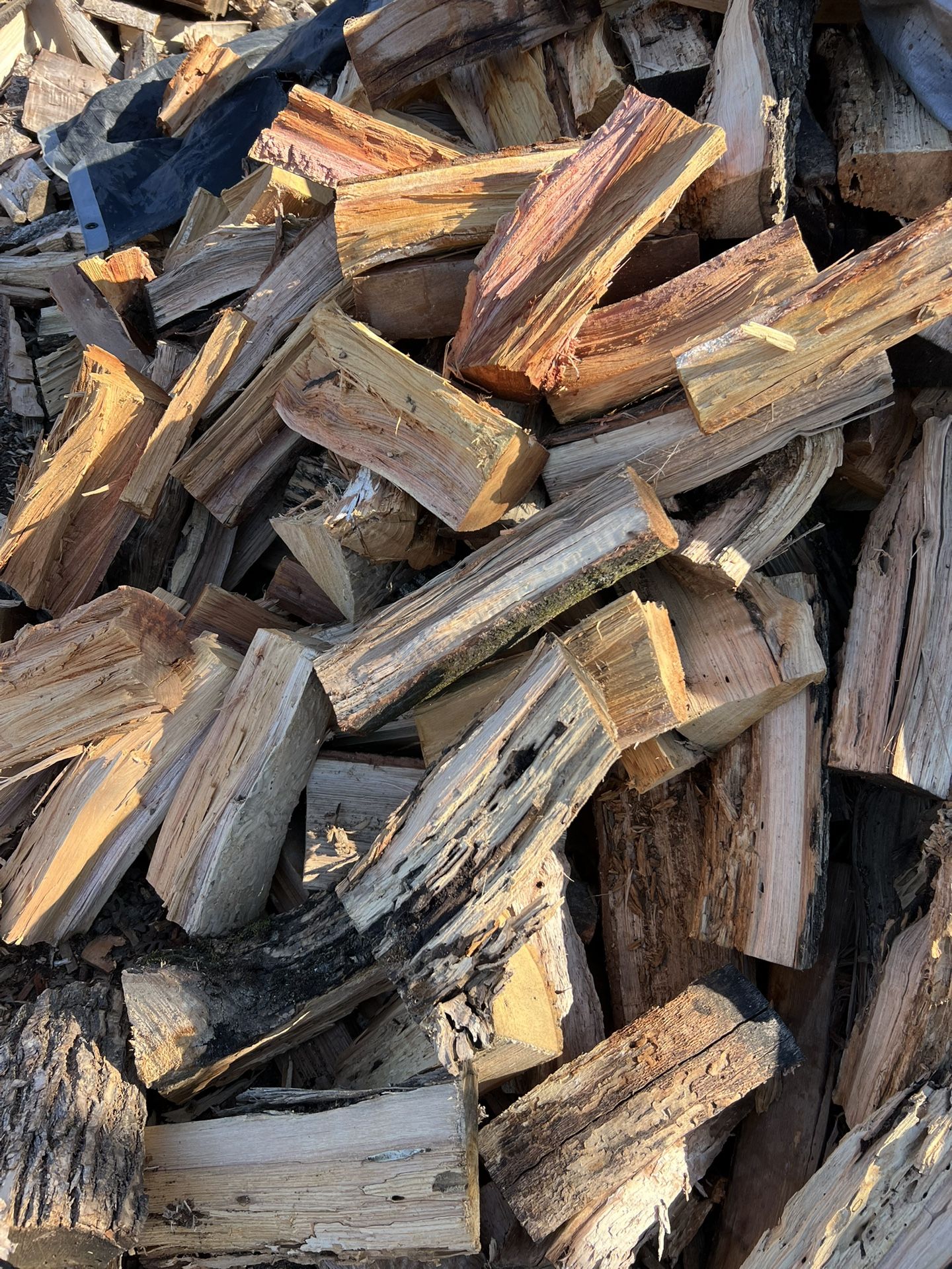 Firewood