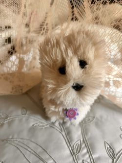 Coconut The American Girl Original White Dog Plushie Stuffed Animal 