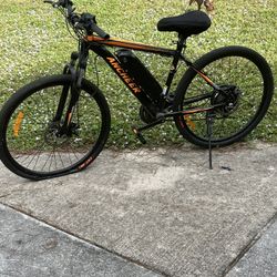 Electric Bike 