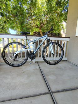 Bicycle 29 "