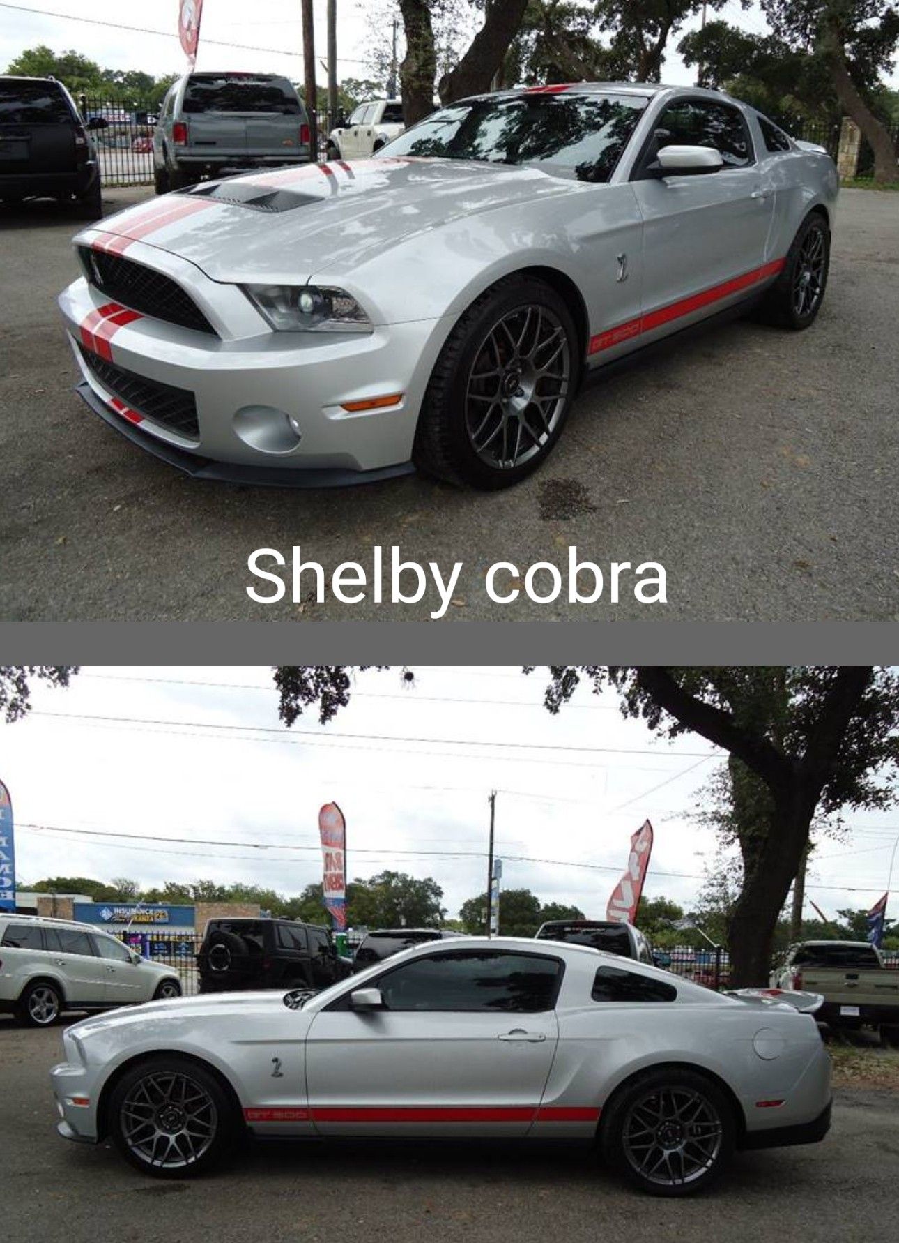 2012 Ford Shelby Gt500