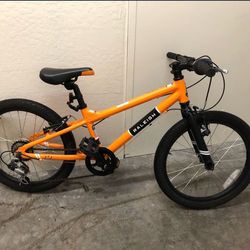 Raleigh rowdy youth bike