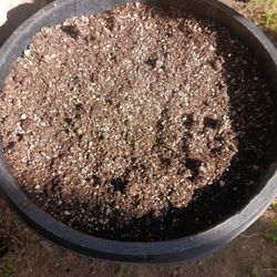 Tierra Para Plantas 