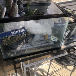 Aquariums With Accessories And Decorations 