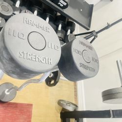Hammer Strength EZ bar curl 100 and 110lbs 
