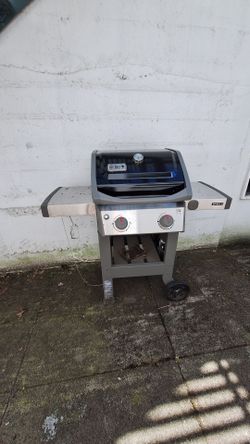Free Weber Grill