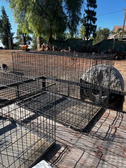 Dog crates