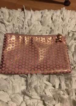 Teddy bear make up bag